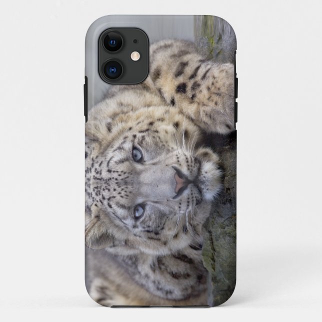 Fall Vishnu Snow Leopard iPhone 5 Fall Mate Case-Mate iPhone Hülle (Rückseite)