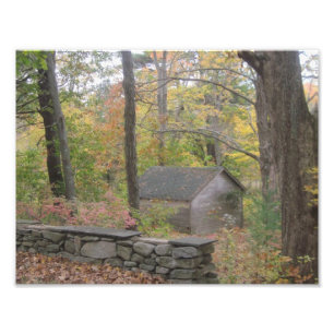 Fall von Foto Print in New England