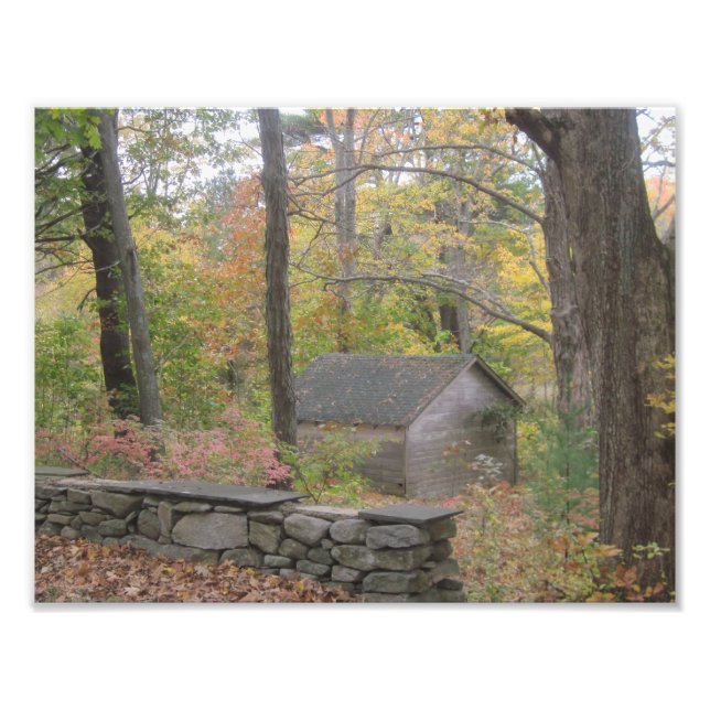 Fall von Foto Print in New England (Vorne)