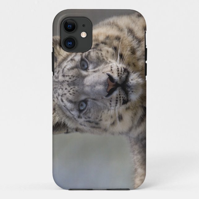 Fall von Himalayan Prince iPhone 5 Case-Mate Hülle (Rückseite)