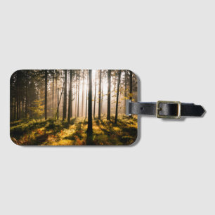 Fall-Wald mit Sunrays Gepäckanhänger