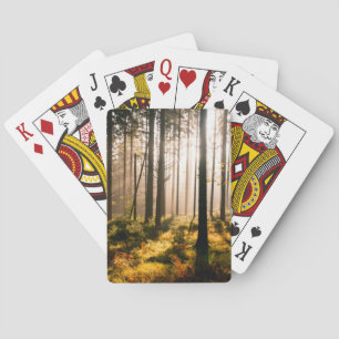 Fall-Wald mit Sunrays Spielkarten