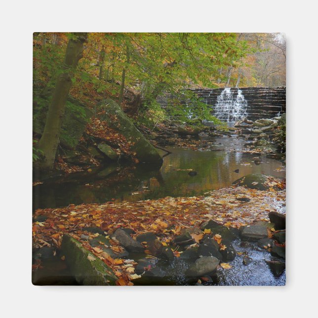 Fall Wasserfall und Creek Pennsylvania Natur Magnet (Vorne)