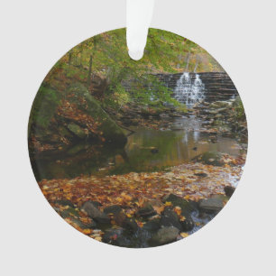 Fall Wasserfall und Creek Pennsylvania Natur Ornament