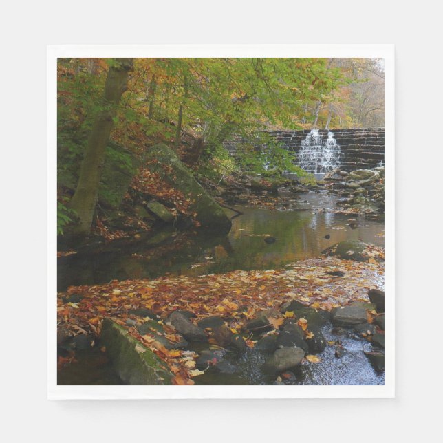 Fall Wasserfall und Creek Pennsylvania Natur Serviette (Vorderseite)
