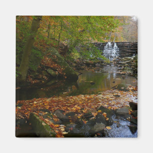Fall Wasserfall und Creek Pennsylvania Nature Foto Magnet