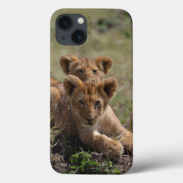 Fall Wild African Lion Cubs iPad Mini Case-Mate iPhone Hülle (Rückseite)