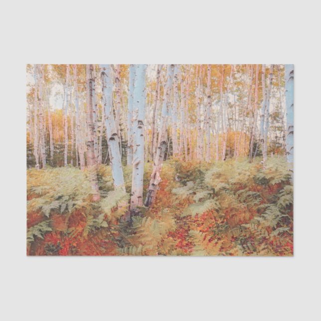 Fall Woodland Fern Forest Birch Trees Seidenpapier (Vorderseite)