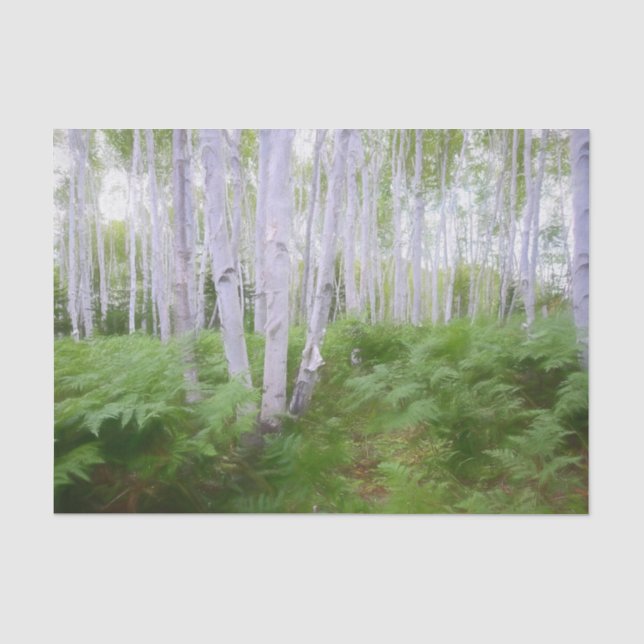 Fall Woodland Fern Green Forest Birch Trees Art Seidenpapier (Vorderseite)