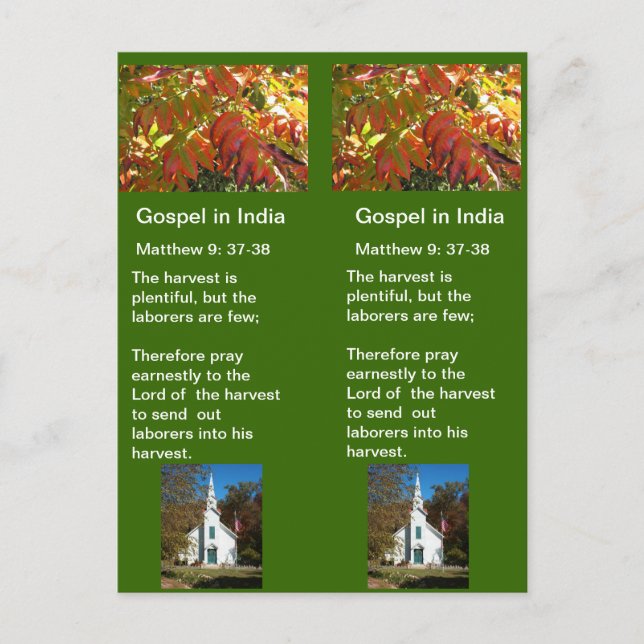 Fall Zone Kundgebung Rev. 3 Postkarte (Vorderseite)