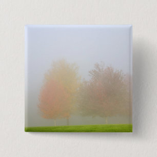 Fallbäume eingehüllt in Nebel Button