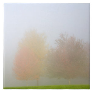 Fallbäume eingehüllt in Nebel Fliese