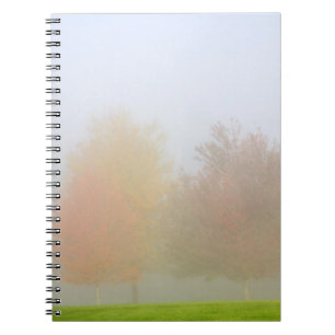Fallbäume eingehüllt in Nebel Notizblock