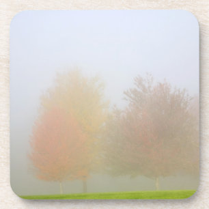 Fallbäume eingehüllt in Nebel Untersetzer