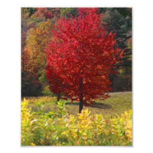 Fallbilder   Bilder vom Fall Fotodruck