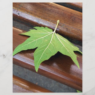 Fallblatt