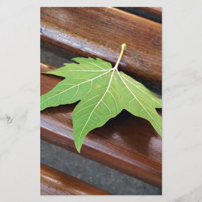 Fallblatt Briefpapier (Vorderseite)