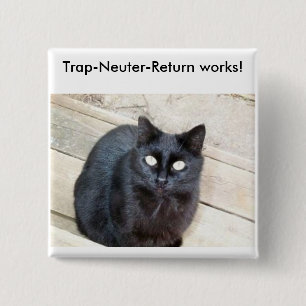 Falle-Sächlich-Rückkehr Knopf Button