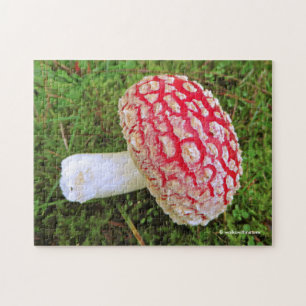 Fallen Agarius / Amanita Muscaria Roter Pilz Puzzle