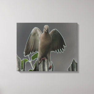 Fallen Angel Dove Canvas Print Leinwanddruck