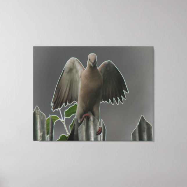 Fallen Angel Dove Canvas Print Leinwanddruck (Vorderseite)