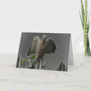 Fallen Angel Dove Grußkarte Karte