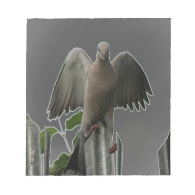 Fallen Angel Dove Notepad Notizblock (Vorderseite)