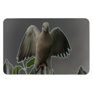 Fallen Angel Dove Premium Magnet