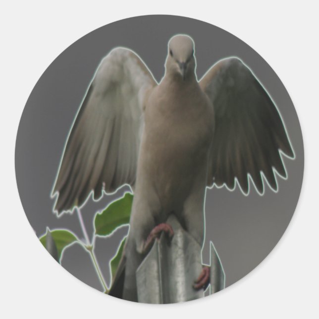 Fallen Angel Dove Sticker (Vorderseite)