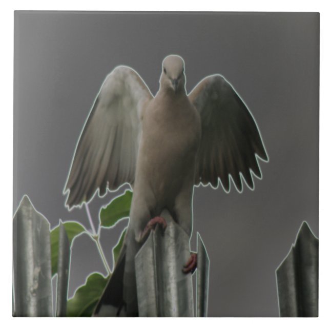 Fallen Angel Dove Tile Fliese (Vorderseite)