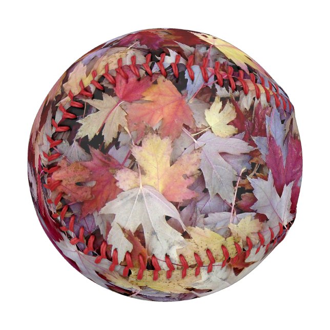 Fallen Herbst verlässt Baseball (Vorderseite Links)