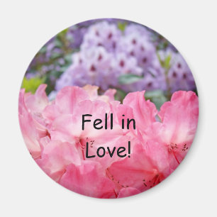 Fallen in der Liebe! Magnet Rosa Rhododendron-Blum