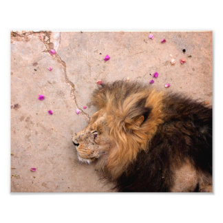 Fallen King Fotodruck