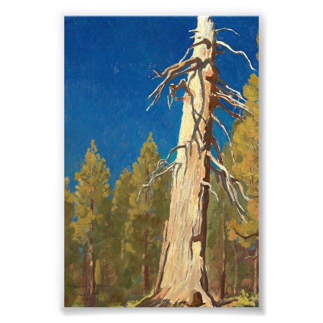 Fallen Leaf von Maynard Dixon Fotodruck (Vorne)