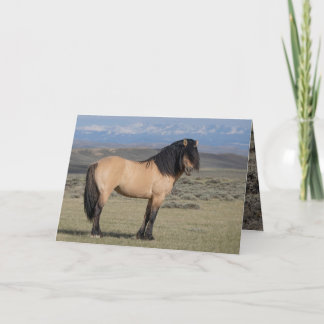 "Fallen Star in Front of the Wind River Mountains" Einladung