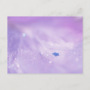 Fallen Star Postkarte