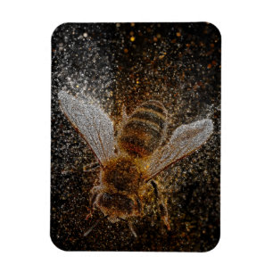 Fallende Bienen sind magisch Magnet