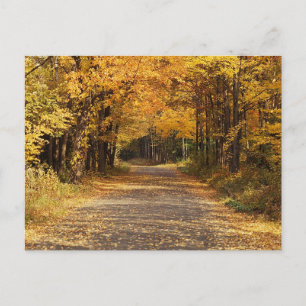 Fallende Blätter   Herbst-Zuhause-Geschenke Postkarte