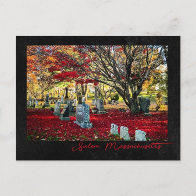Fallende Blätter in Salem, Massachusetts Postkarte (Vorderseite)
