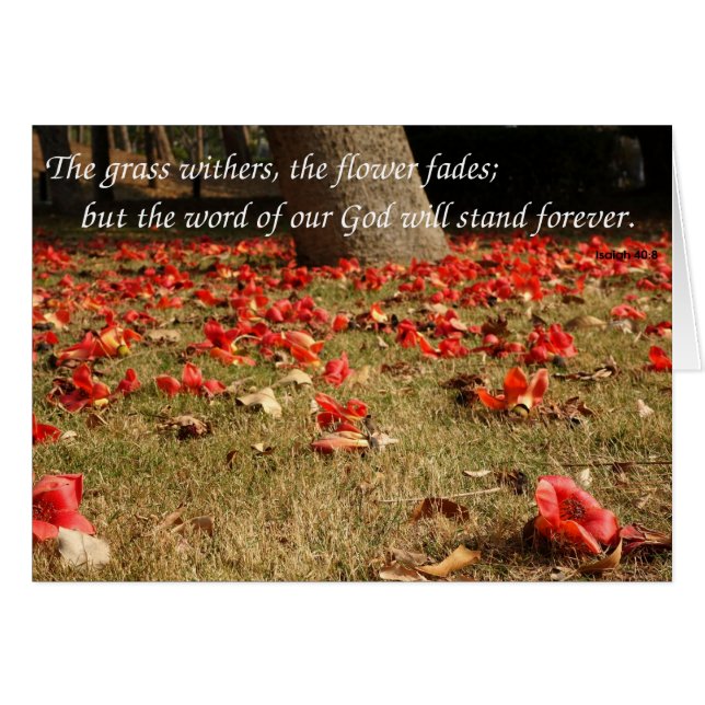 Fallende Blume des Roten Seidengartens (Vorderseite (Horizontal))