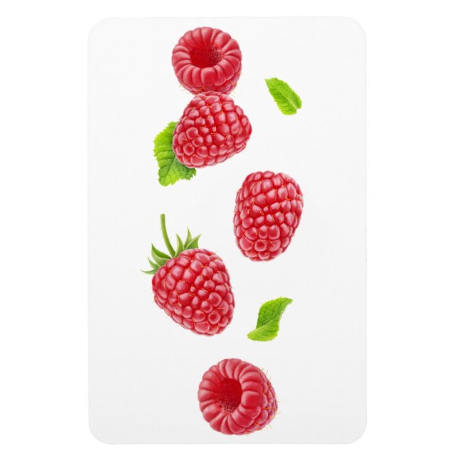 Fallende Himbeeren Magnet (Vertikal)