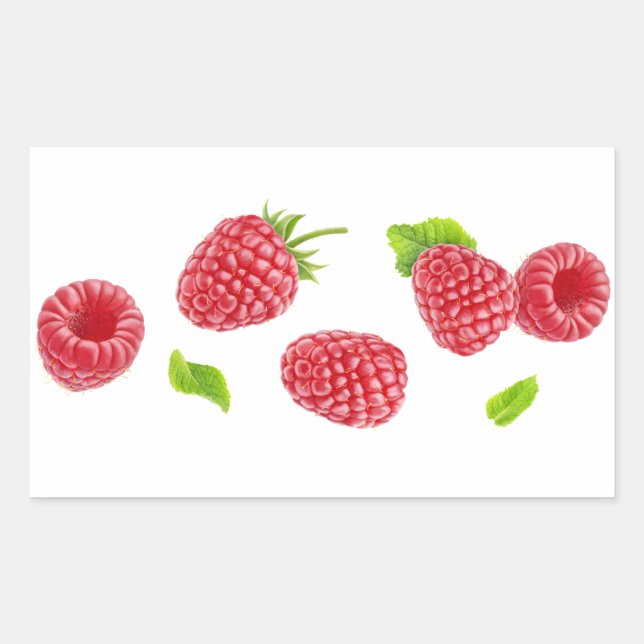 Fallende Himbeeren Rechteckiger Aufkleber (Vorderseite)