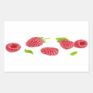 Fallende Himbeeren Rechteckiger Aufkleber