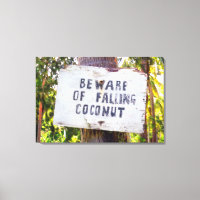 FALLENDE KOKONUTS 24x36