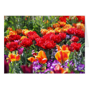 Fallende Krimsonwellen