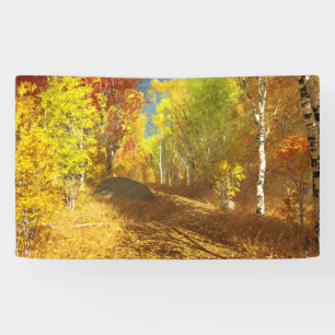 Fallende Lichtbanner Banner