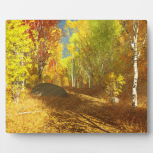 Fallende Lichtbildfläche Fotoplatte