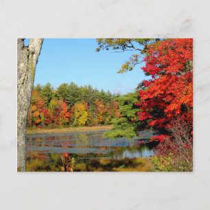 Fallfarbe in New England Postkarte