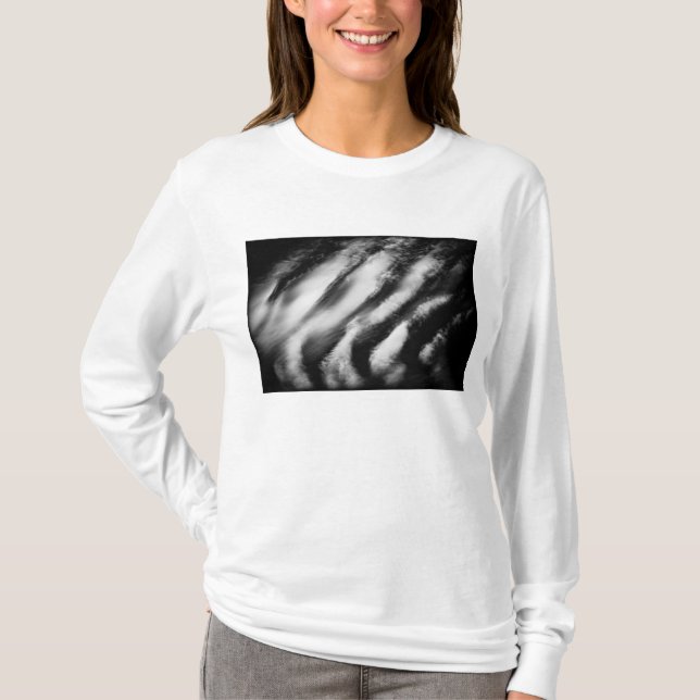Fallgeier T-Shirt (Vorderseite)
