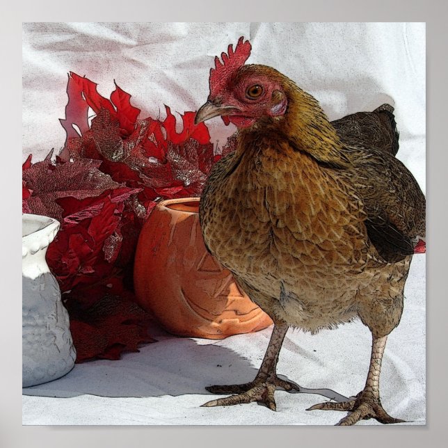 Fallhähnchen Poster (Vorne)